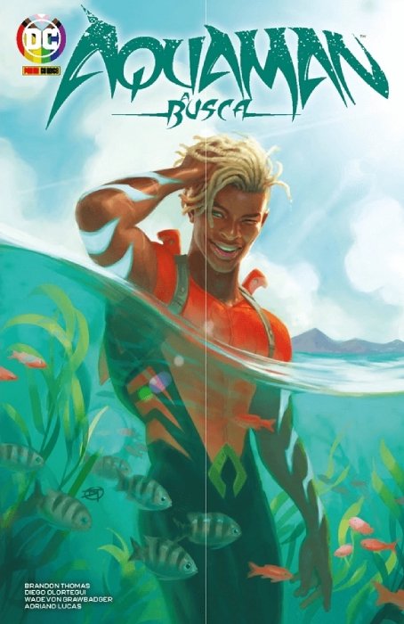 Capa de Aquaman - A Busca (Panini/Divulgação)