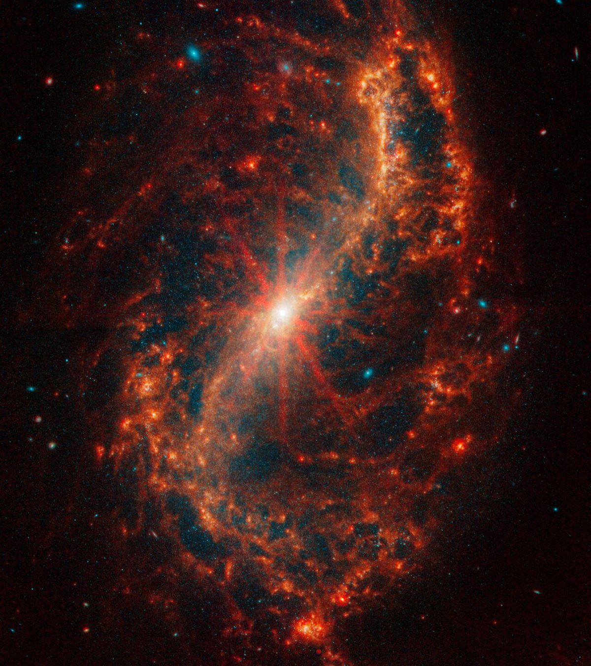 This spiral galaxy was observed as part of the Physics at High Angular resolution in Nearby GalaxieS (PHANGS) program, a large project that includes observations from several space- and ground-based telescopes of many galaxies to help researchers study all phases of the star formation cycle, from the formation of stars within dusty gas clouds to the energy released in the process that creates the intricate structures revealed by Webb’s new images. NGC 7496 is 24 million light-years away in the constellation Grus. Learn more about what can be seen in this vast collection of Webb images here. [Image description: The central core of Webb’s image of the galaxy NGC 7496 begins as a bright white dot that melts into bright oranges. Eight prominent diffraction spikes emanate from the centre. A bright orange arc that looks like a thin, backward S forms the bar and two of the face-on spiral galaxy’s arms.]