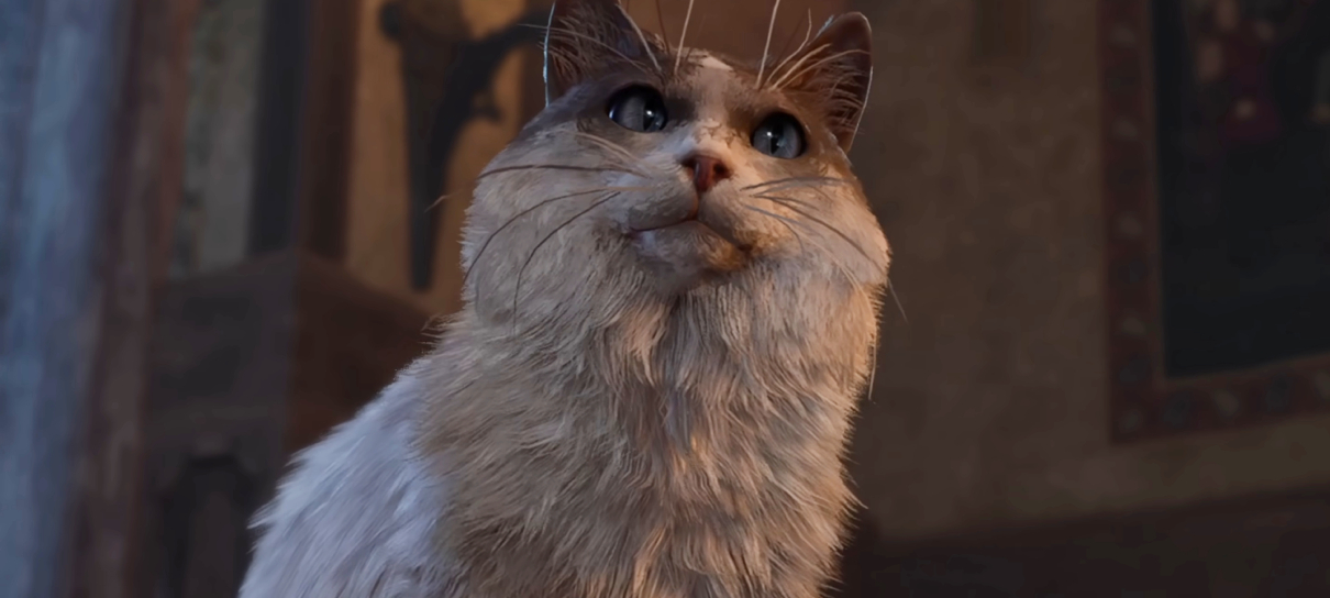 Jogador tenta zerar Baldur's Gate 3 usando apenas gangue de gatinhos
