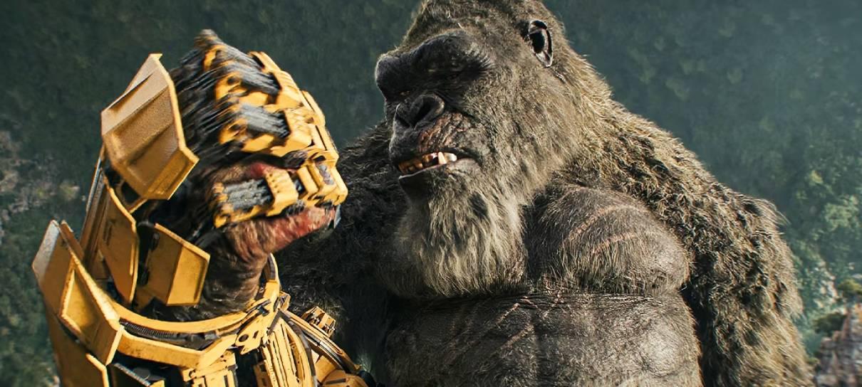 Sucesso de Godzilla e Kong indica mais aventuras para os monstrões