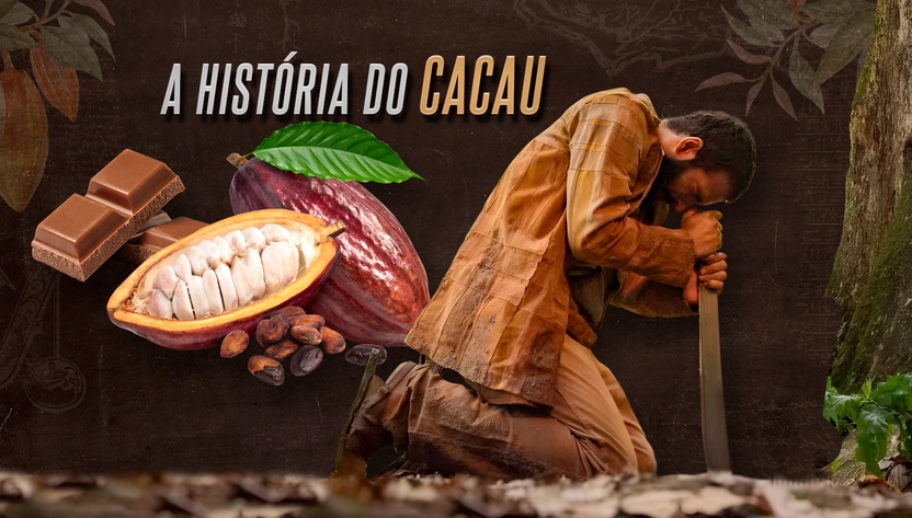 A História da origem do cacau e do chocolate