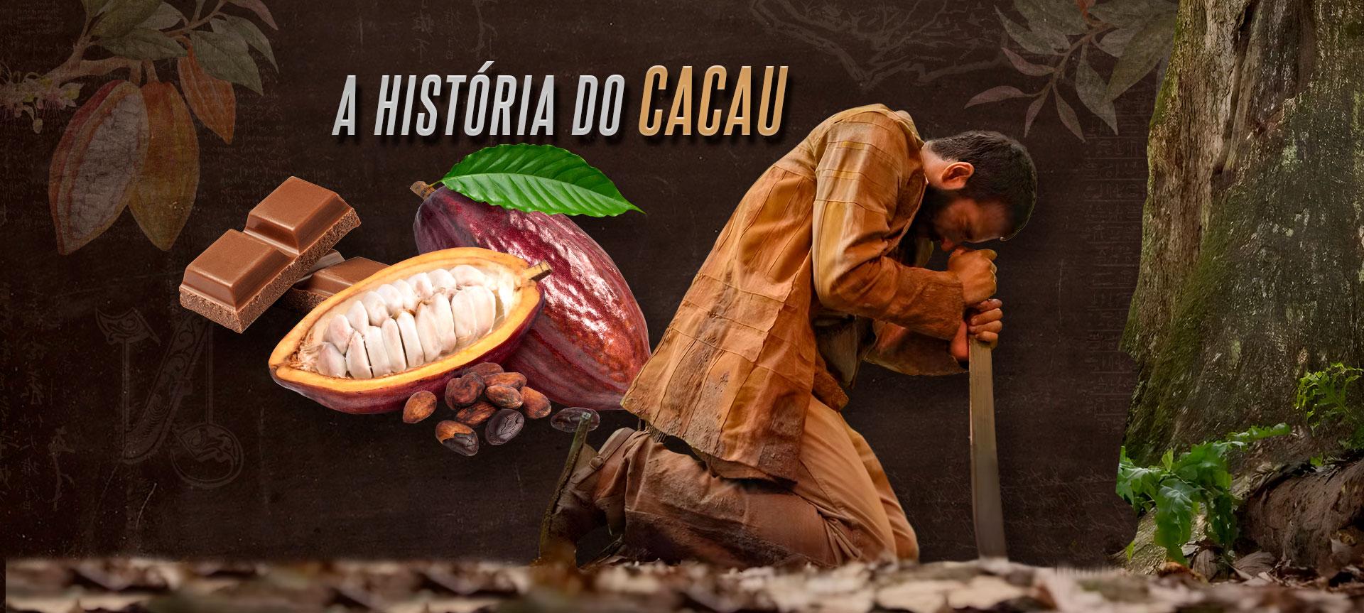 A História da origem do cacau e do chocolate