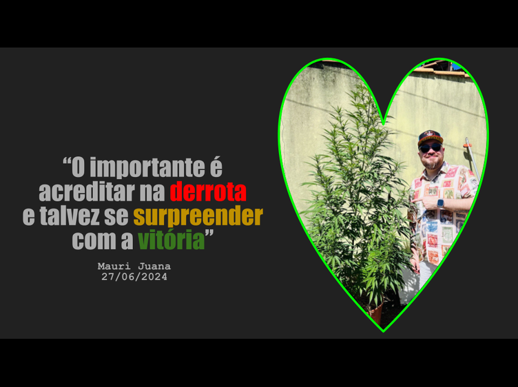 Frase do Dia