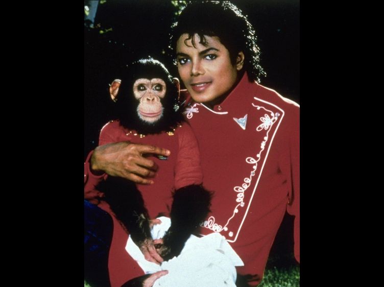 Chimpanze MC Jackson