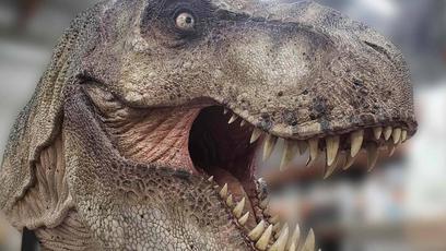 Busto de T-Rex da SDCC pode ser seu (por um preço jurássico)