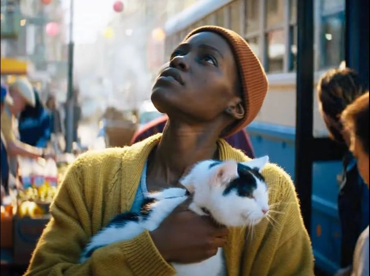 Gato Frodo + Lupita