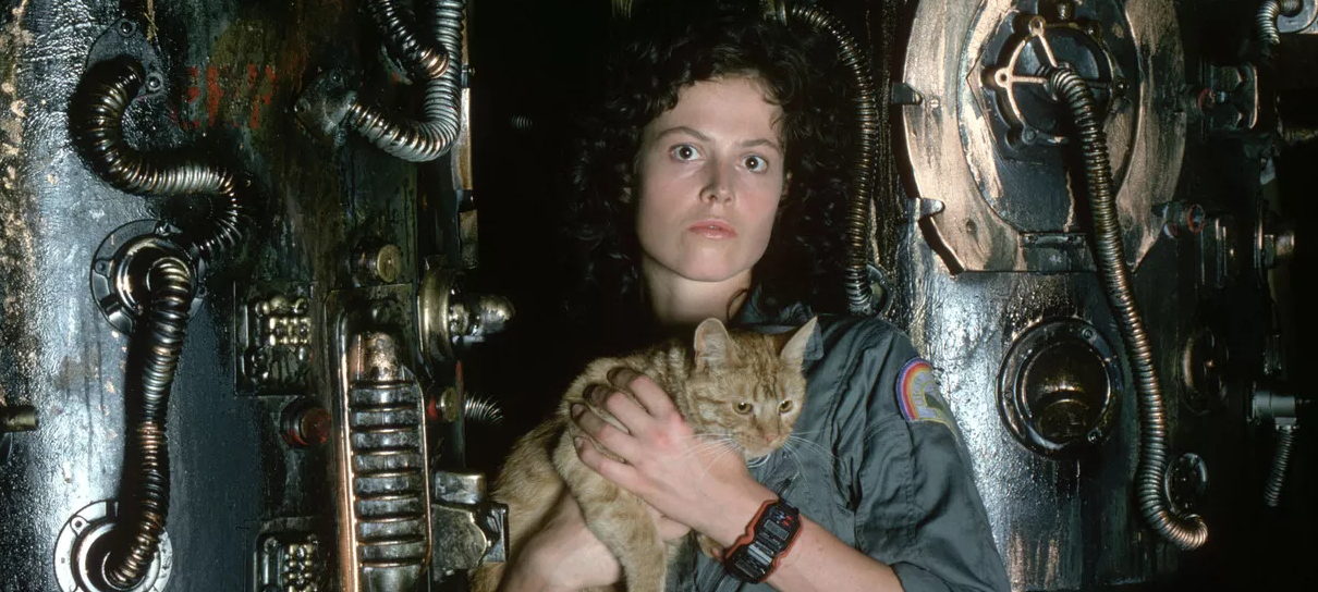 Cailee Spaeny discute influência de Ellen Ripley em Alien: Romulus
