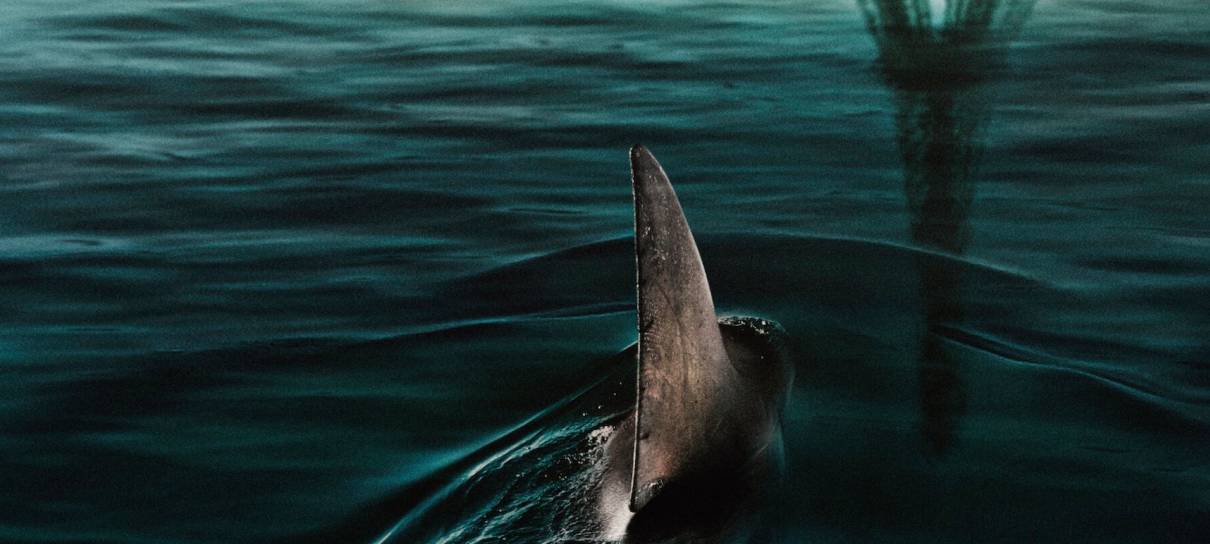 Netflix fará continuação de Sob as Águas do Sena