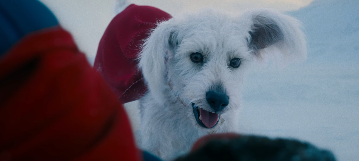 Krypto é um “cachorro terrível” em Superman, diz James Gunn