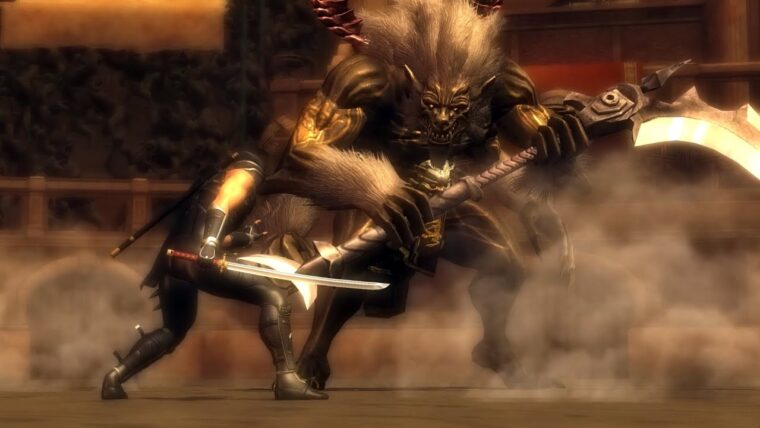 Imagem de Ninja Gaiden 2 Black