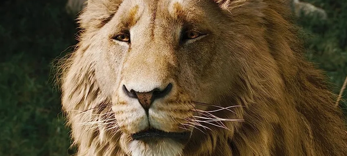 Lançamento de Nárnia em IMAX não mudará estratégia da Netflix, garante CEO