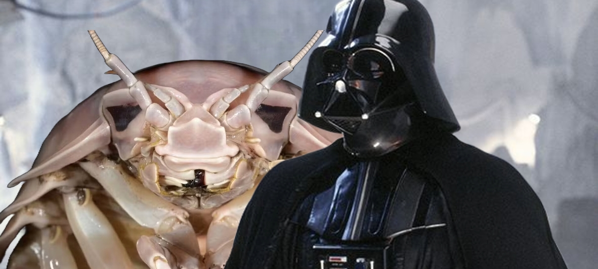 Crustáceo gigante recém-descoberto ganha nome em homenagem a Darth Vader