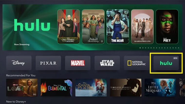 Print de tela do streaming Hulu
