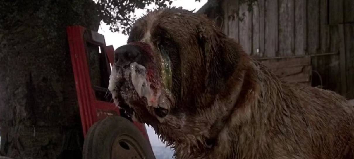 Darren Aronofsky pode dirigir novo Cujo, de Stephen King
