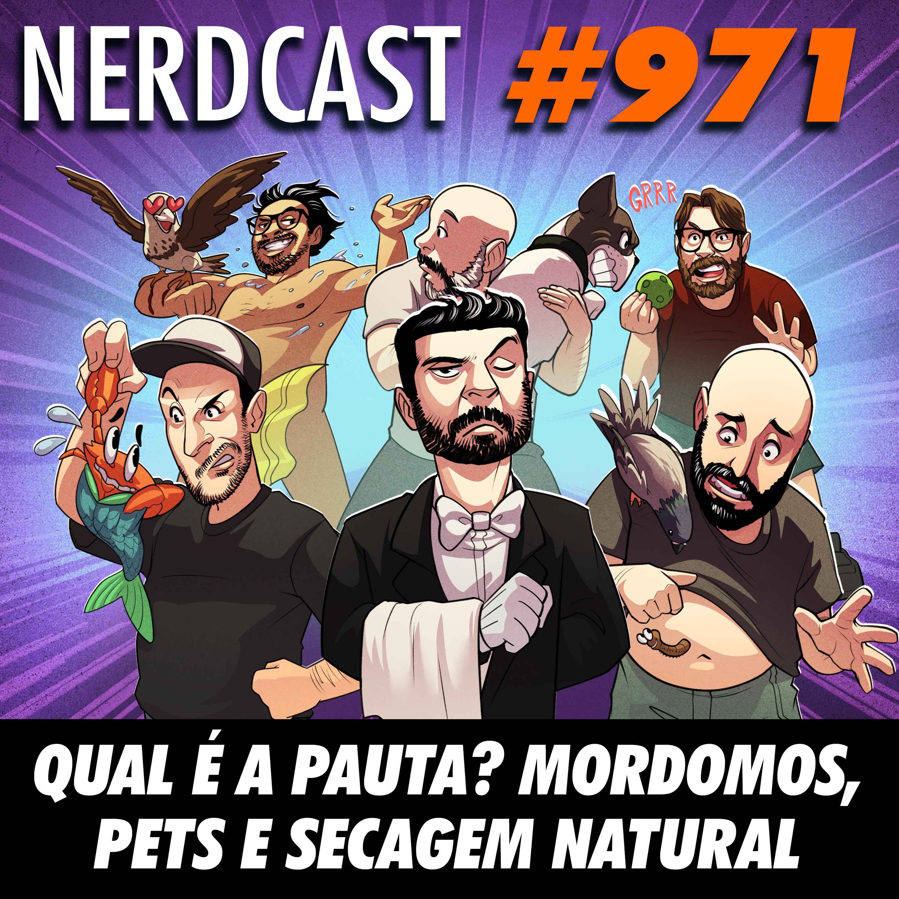 NerdCast 971 - Qual é a pauta? Mordomos, pets e secagem natural