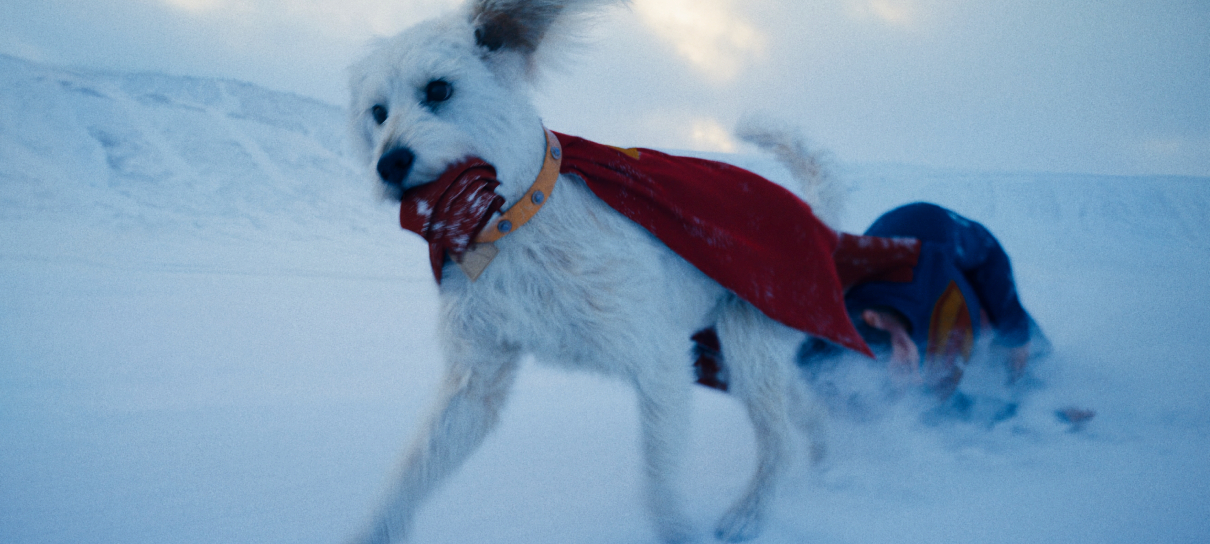 Krypto salva e irrita o Superman em nova cena; leia a descrição