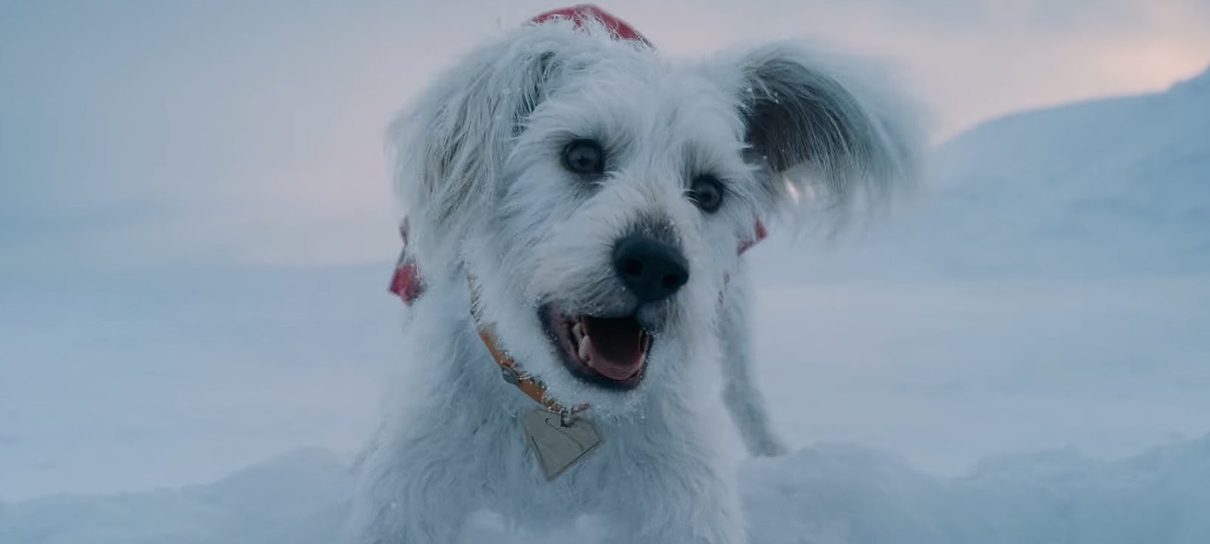 Superman ganha prévia de quatro minutos com Krypto em ação; assista!