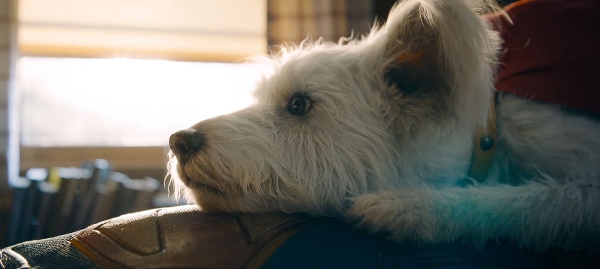 Superman revela cenas fofas com Krypto em comercial; veja o vídeo