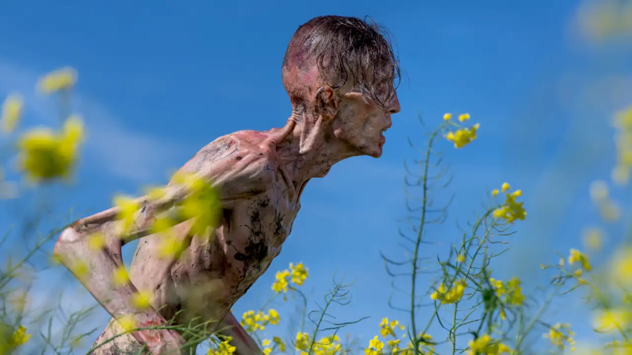 10 filmes de zumbi para quem gosta de ‘Extermínio’