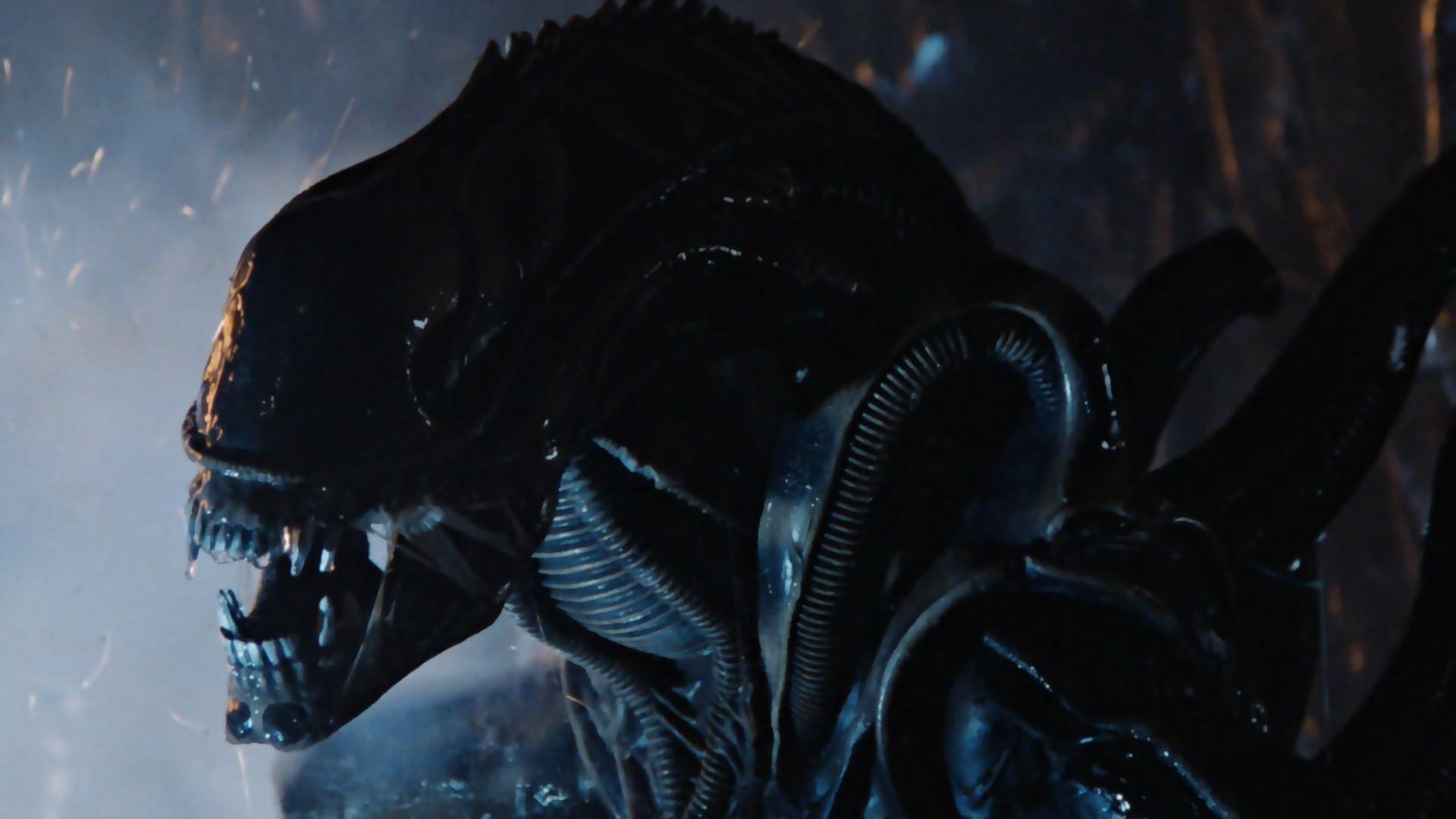 Primeira imagem de Alien: Covenant é divulgada