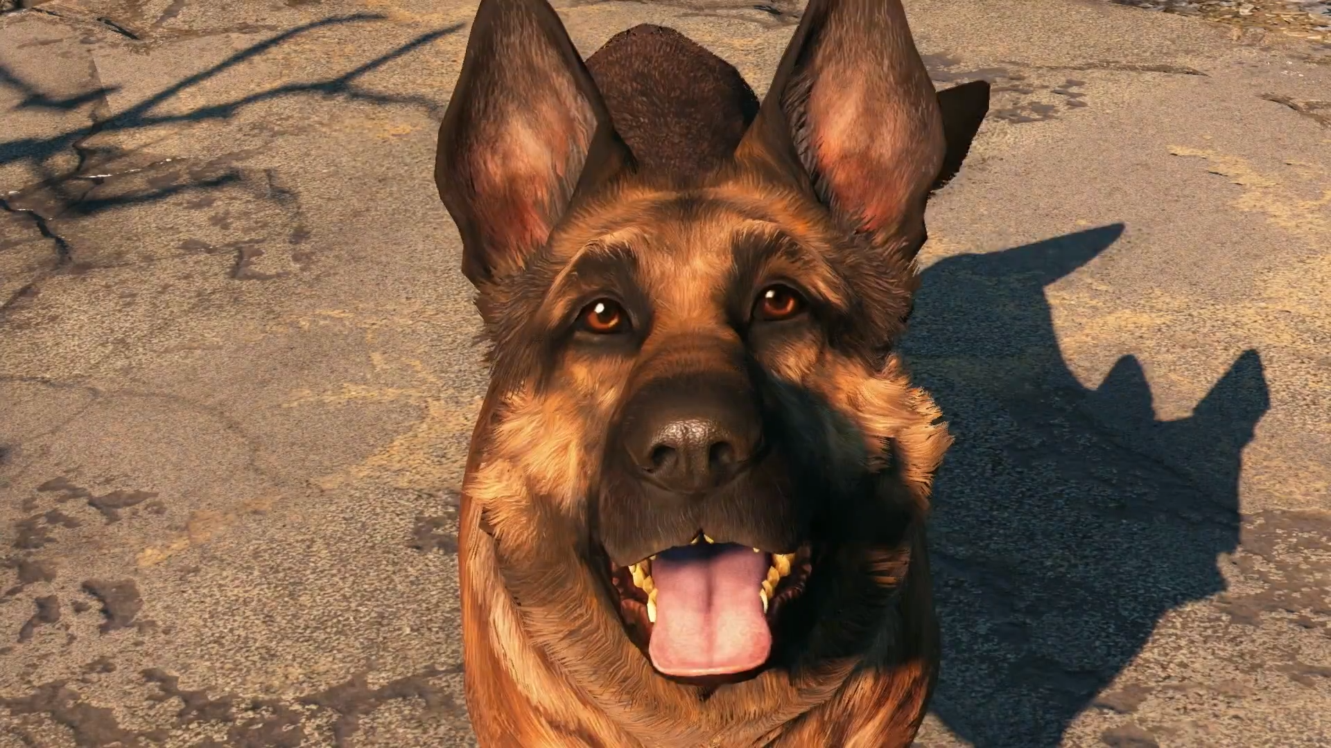 Conheça o cachorro real que inspirou Dogmeat de Fallout 4