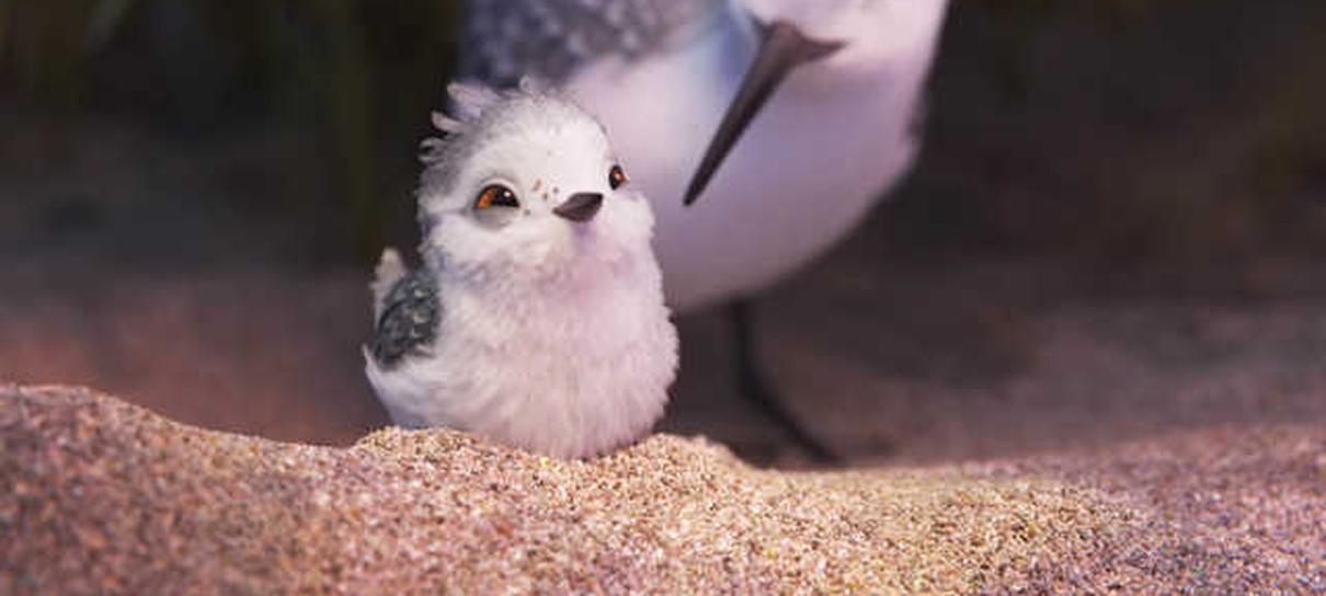 Piper | Veja as primeiras imagens do novo curta da Pixar