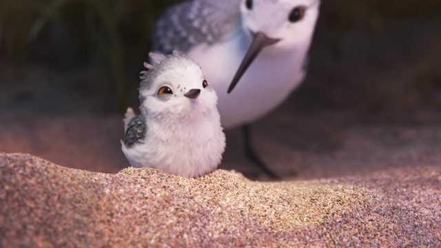 Piper | Veja as primeiras imagens do novo curta da Pixar