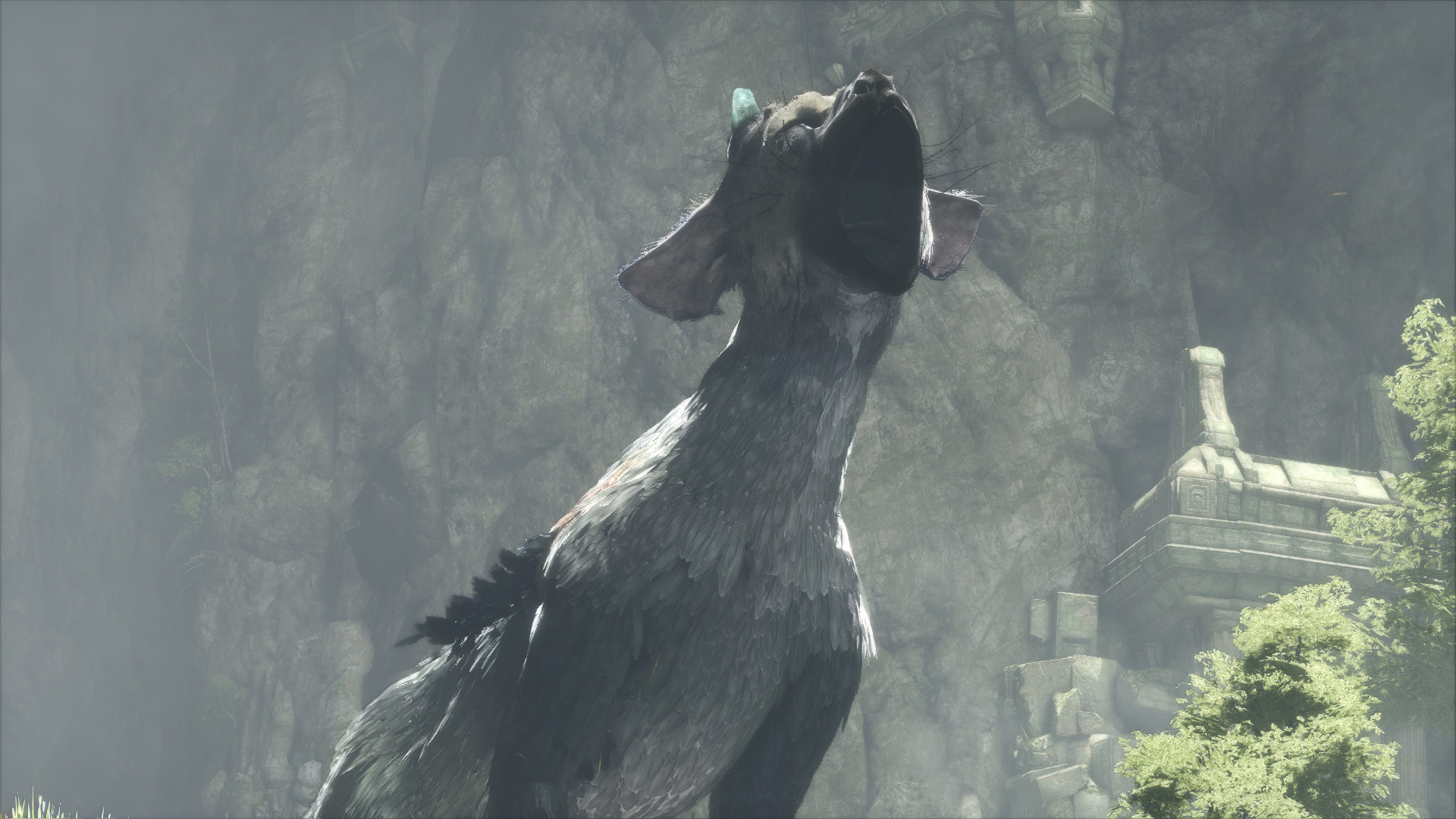 Veja novas imagens e vídeos de The Last Guardian