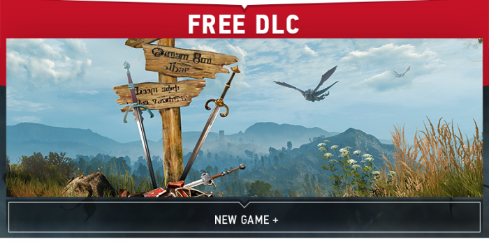 Witcher NG