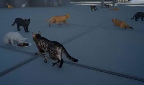 Novas imagens do gameplay de Final Fantasy XV