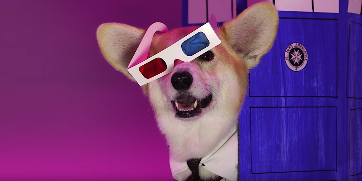 Veja um corgi fantasiado como todos os doutores de Doctor Who