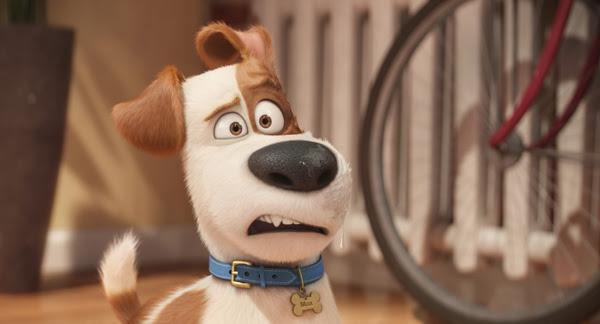 Novo trailer de Pets - A Vida Secreta dos Bichos apresenta o novo "irmão" de Max