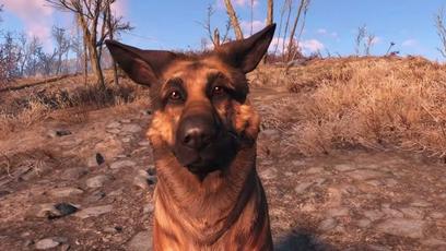 Conheça o verdadeiro cachorro de Fallout 4