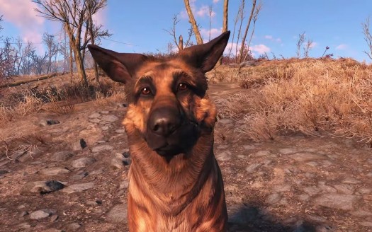 Conheça o verdadeiro cachorro de Fallout 4