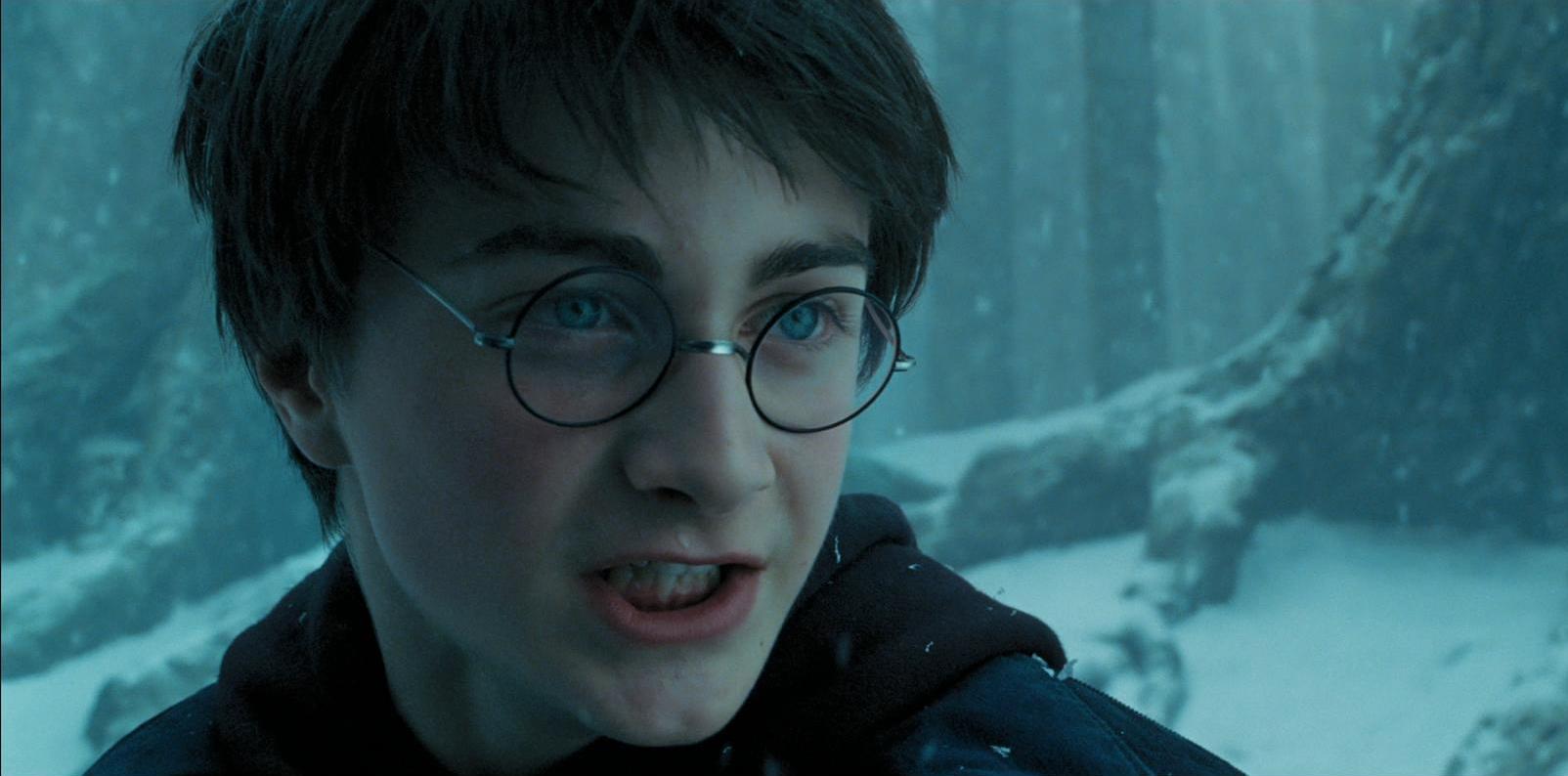 E se Harry Potter fosse o vilão?