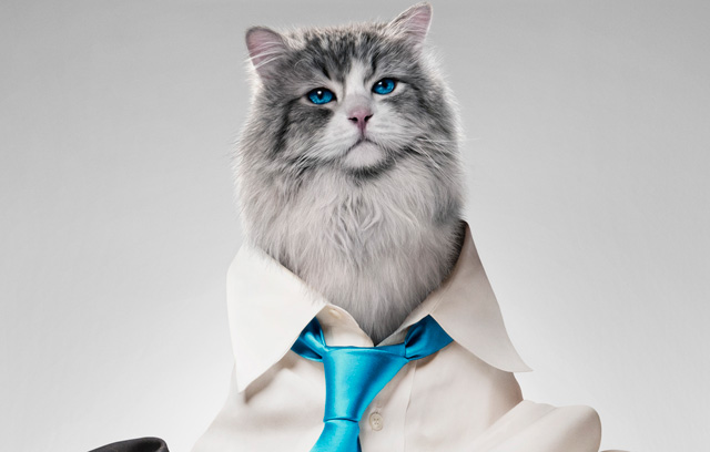 Miaulionário é transformado em gato no trailer de Nine Lives