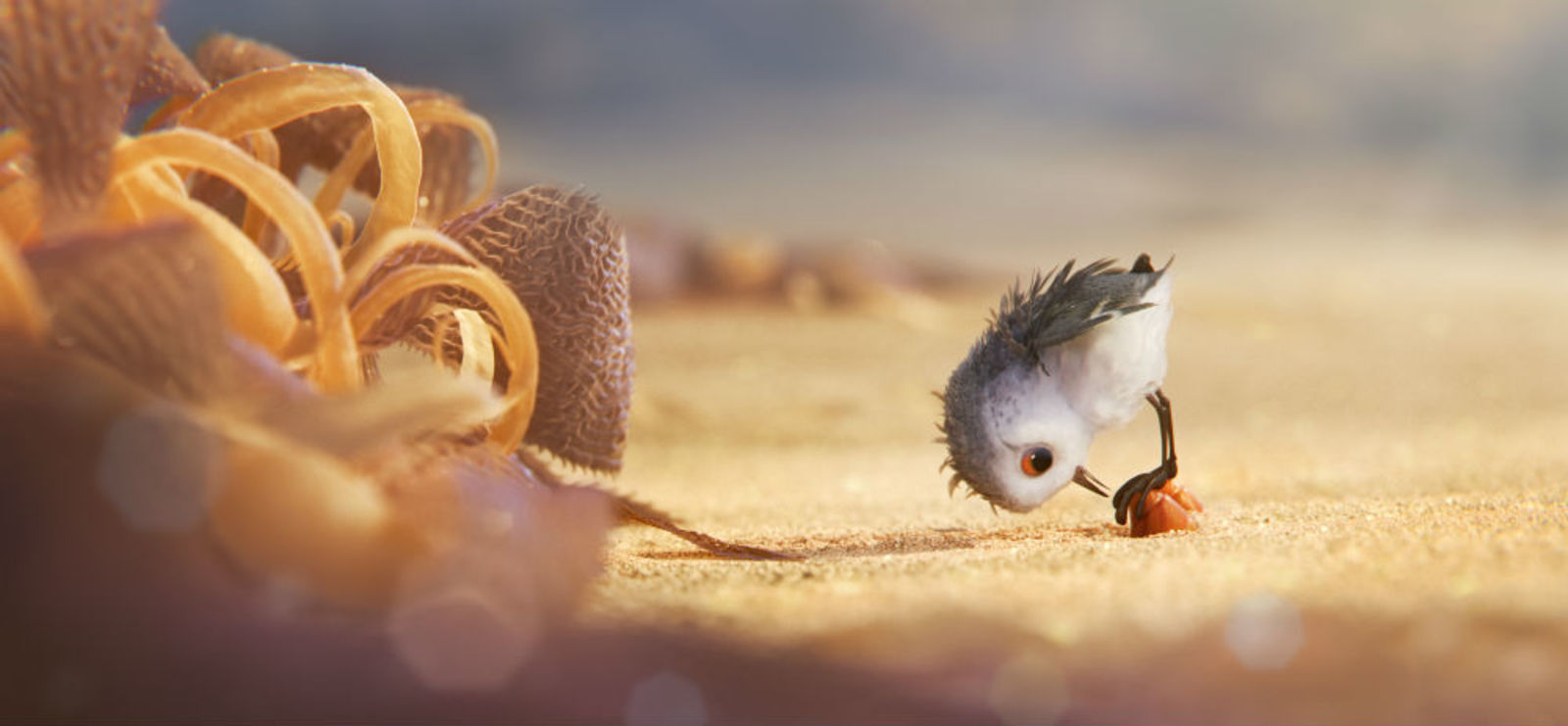 Piper | Assista a um trecho do novo (e adorável) curta da Pixar