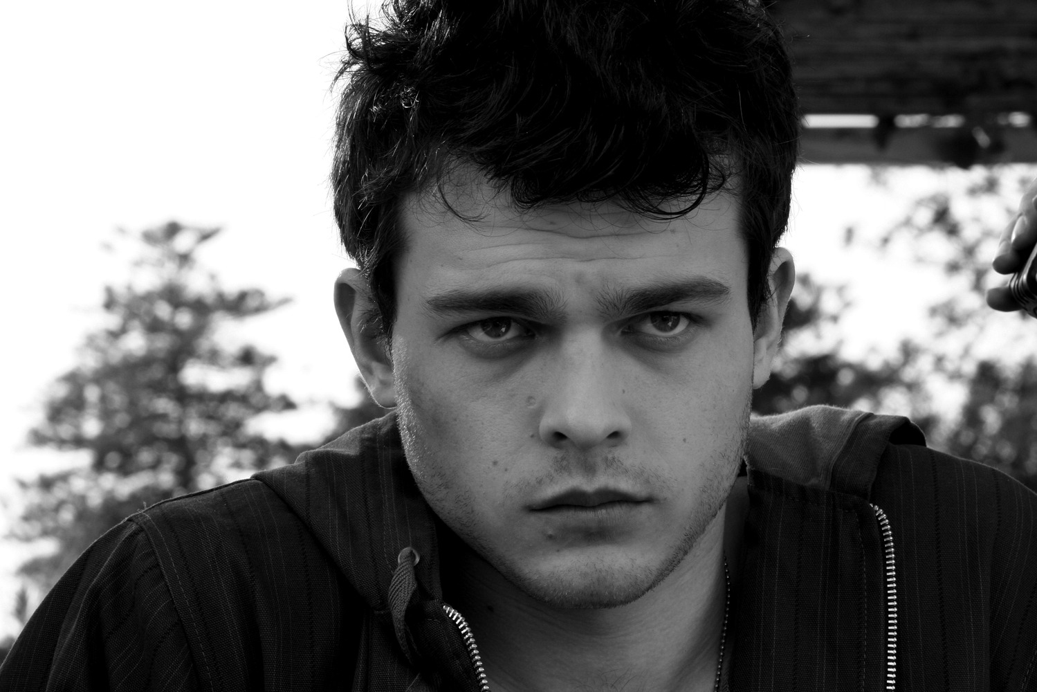 Star Wars | Alden Ehrenreich pode ser o novo Han Solo