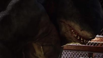 Trecho de Flash mostra Tubarão-Rei fugindo da jaula de contenção