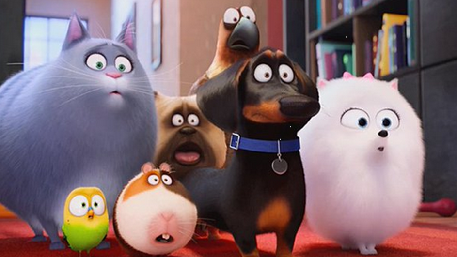 Animais também tem aventuras emocionantes em Pets - A Vida Secreta dos Bichos